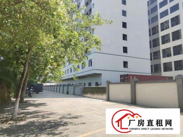  东莞洋乌原房东厂房可办环评3000平分，