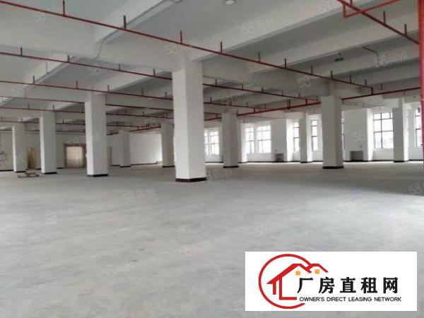  大朗蔡边原房东可办环评全新厂房1000平方出租