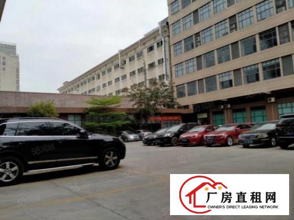  大朗蔡边原房东可办环评全新厂房1000平方出租