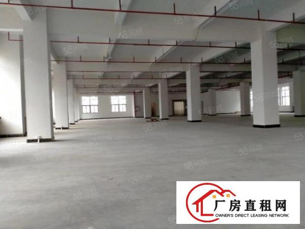  大朗蔡边原房东可办环评全新厂房1000平方出租