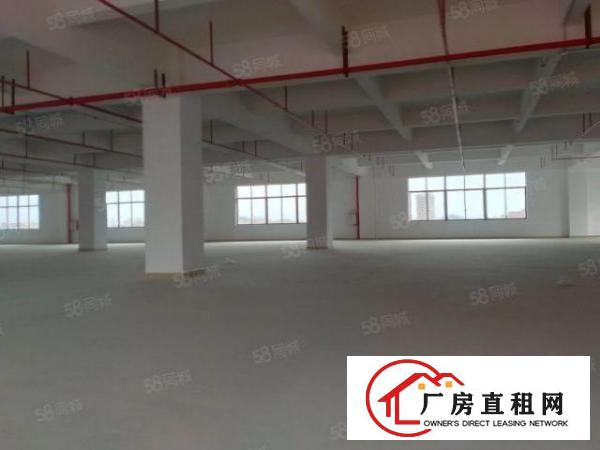  大朗蔡边原房东可办环评全新厂房1000平方出租
