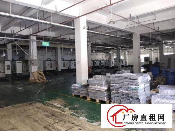  洋坑塘标准厂房一楼2150平，可分租，交通方便配套齐全