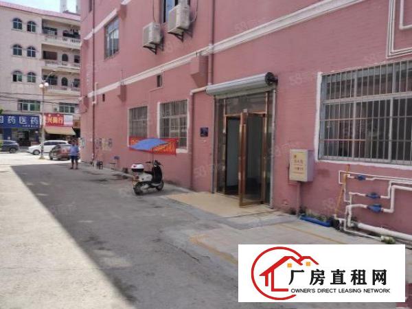  洋坑塘标准厂房一楼2150平，可分租，交通方便配套齐全