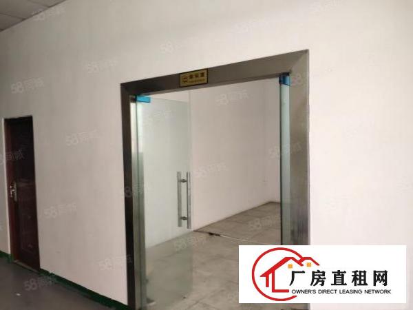  洋坑塘标准厂房一楼2150平，可分租，交通方便配套齐全