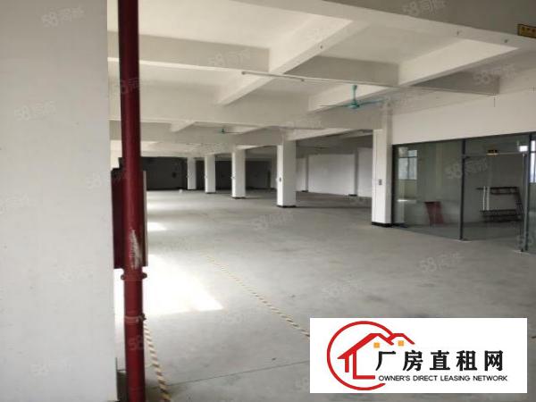  大朗工业用地厂房2楼现成装修带200平无尘车间地坪漆，