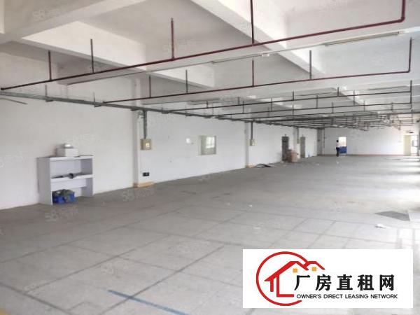 大朗工业用地厂房2楼现成装修带200平无尘车间地坪漆，