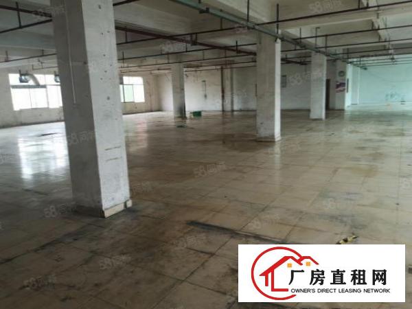  大朗高速路口附近新出标准独院厂房11000平米办公室精装修
