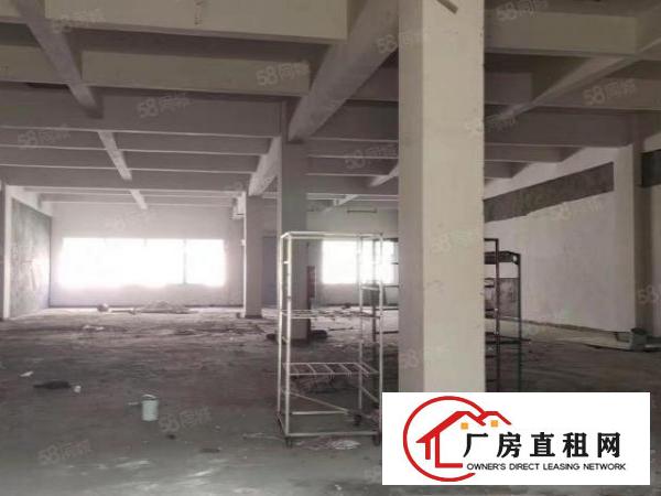  大朗佛子凹标准厂房600平带豪华办公室装修出租