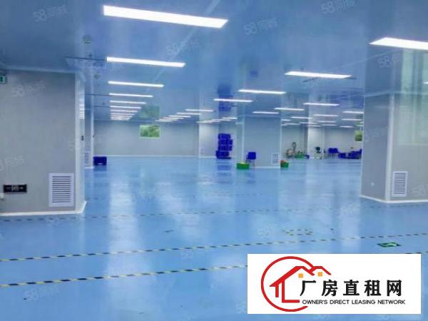  无需转让费大朗蔡边700平方无尘车间证件齐全