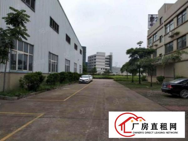  东莞大朗富民工业城原房东钢构厂房5000平方出租可办环评可分