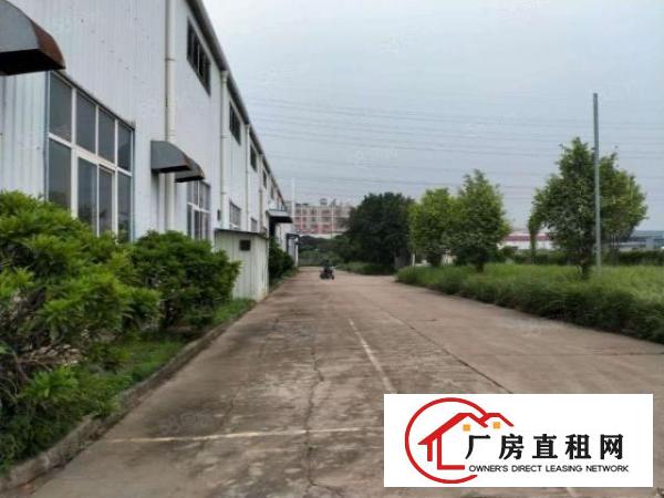  东莞大朗富民工业城原房东钢构厂房5000平方出租可办环评可分