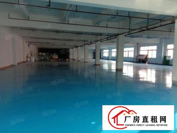  带豪华装修大朗租客转让二楼500平方厂房不要转让费