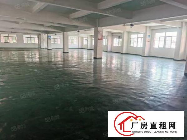  原房东独门独院厂房出租上市公司形象空地大可办环评高速路口