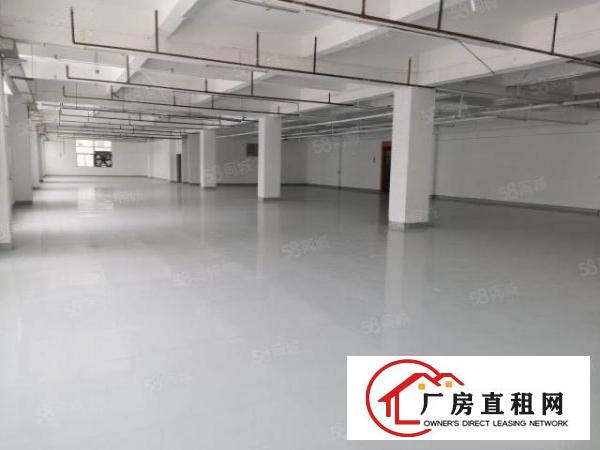  原房东独门独院厂房出租上市公司形象空地大可办环评高速路口