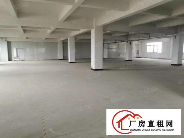  原房东独门独院厂房出租上市公司形象空地大可办环评高速路口