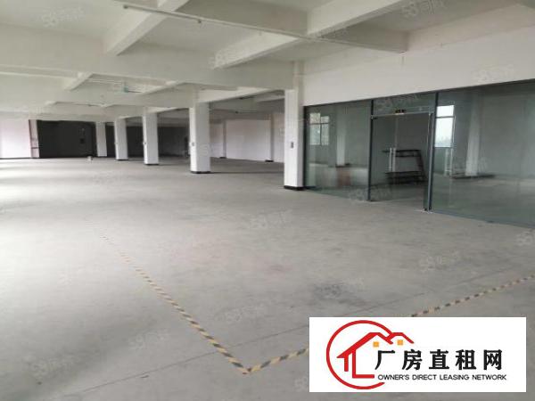  原房东独门独院厂房出租上市公司形象空地大可办环评高速路口