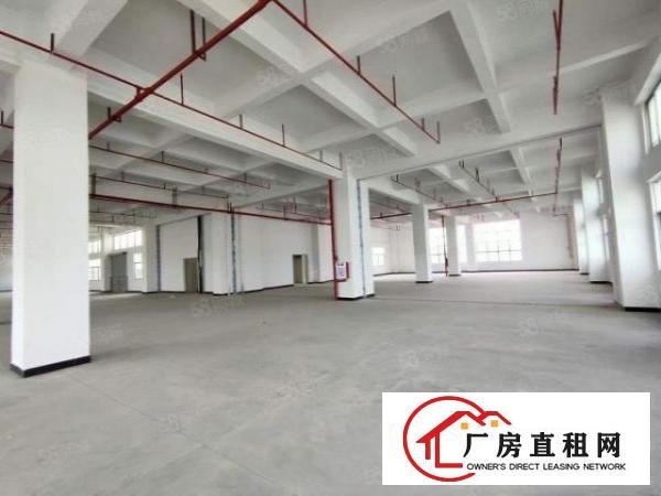  新马莲1500平11块全包实际面积原房东水电自己交精装修