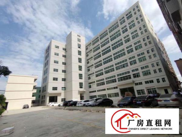  新马莲1500平11块全包实际面积原房东水电自己交精装修