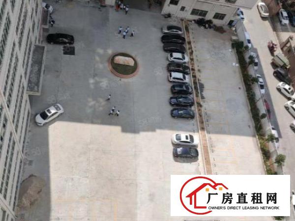  新马莲1500平11块全包实际面积原房东水电自己交精装修