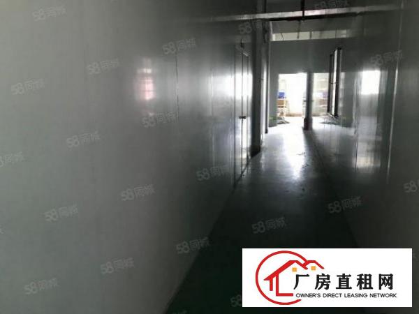  大朗杨涌新空出标准厂房三楼750平出租