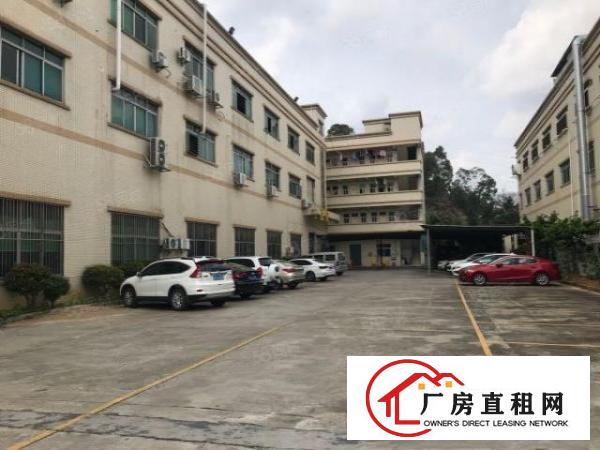  大朗杨涌新空出标准厂房三楼750平出租
