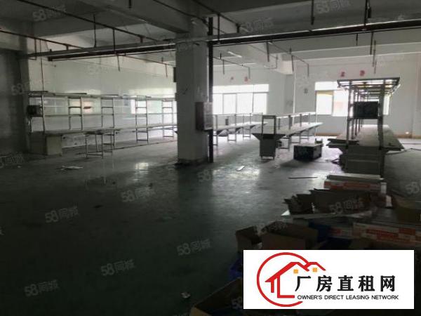  大朗杨涌新空出标准厂房三楼750平出租