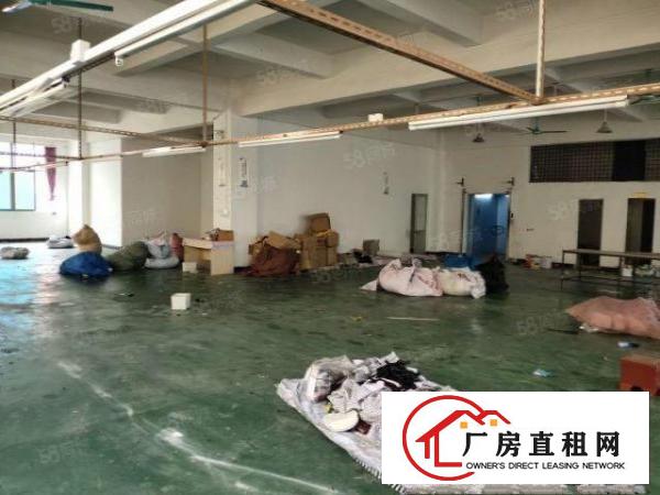  实图）大朗竹山新出厂房1楼375平，4楼800平，现成装修