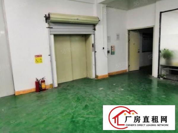  大朗黎贝岭800平11块全包实际面积精装修原房东工业用地