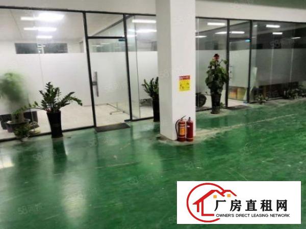  大朗黎贝岭800平11块全包实际面积精装修原房东工业用地