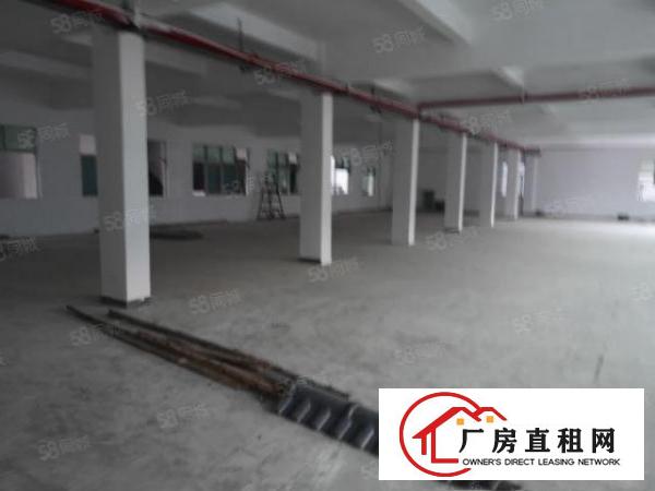  大朗镇体育馆附近新出全新标准厂房3000平米水电齐全