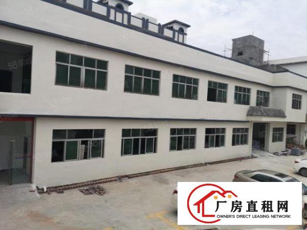  大朗镇体育馆附近新出全新标准厂房3000平米水电齐全