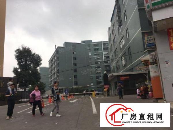 大朗象山工业城新出1400平米厂房出租