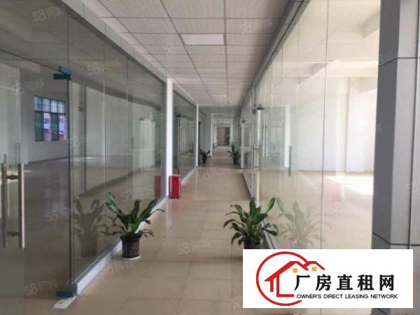  大朗象山工业城新出1400平米厂房出租