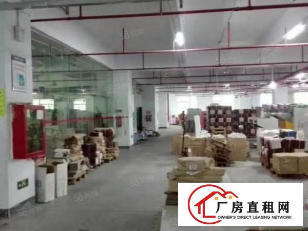  大朗象山工业城新出1400平米厂房出租