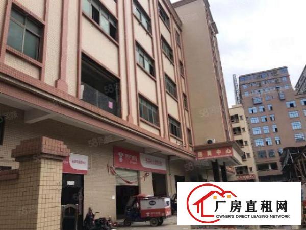  大朗黎贝岭标准厂房四楼1500平带办公室装修出租