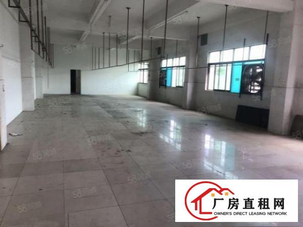 大朗黎贝岭标准厂房四楼1500平带办公室装修出租