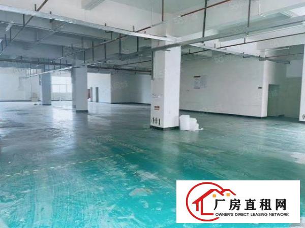  大朗洋乌标准原房东厂房一楼600平出租，高度5米。