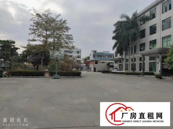  大朗洋乌标准原房东厂房一楼600平出租，高度5米。
