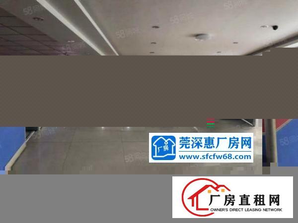  大井头工业区原房东独院花园式厂房出租，面积6200平，水电齐