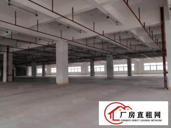  东莞大朗象山工业区原房东2000厂房出租可办环评可分租