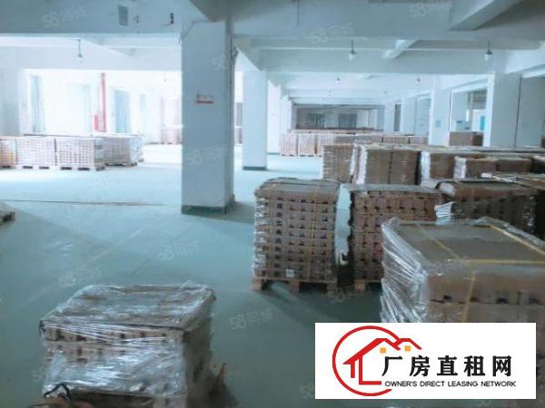  大朗成熟工业区标准厂房800平，带现成办公室地坪漆及消防喷淋
