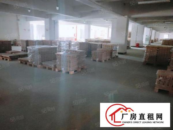  大朗成熟工业区标准厂房800平，带现成办公室地坪漆及消防喷淋