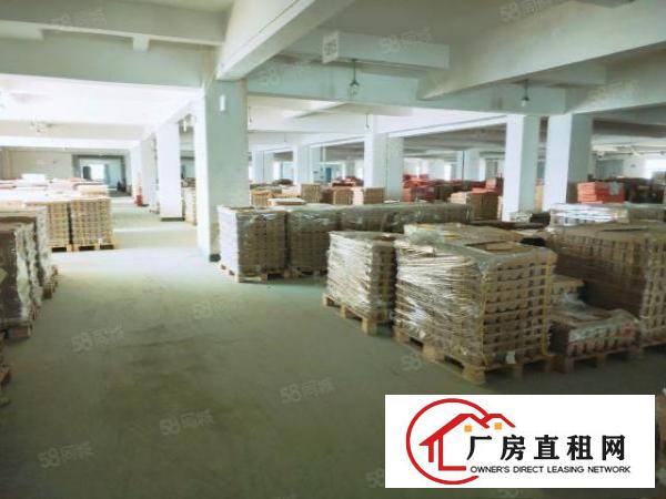  大朗成熟工业区标准厂房800平，带现成办公室地坪漆及消防喷淋