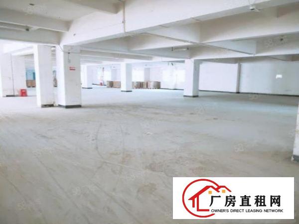  大朗成熟工业区标准厂房800平，带现成办公室地坪漆及消防喷淋