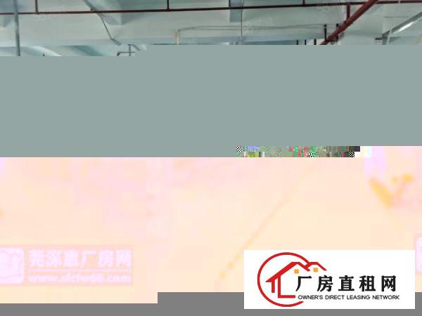  9元带货梯大朗水口二楼400平方三楼700平方厂房分租