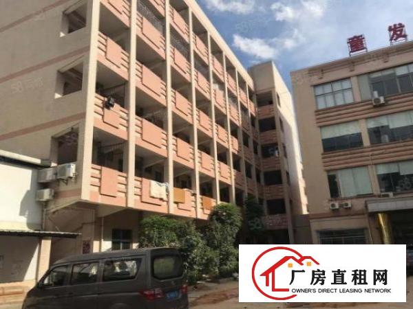  大朗黎贝岭标准一楼二楼各1750平，分租，现成办公室装修