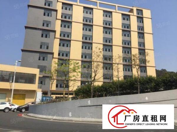  大朗洋乌新出楼上650平米标准厂房出租