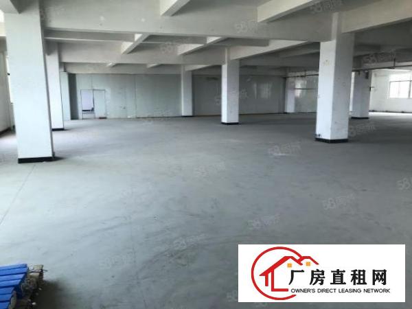  大朗镇水平独栋标准厂房2000平低价出租证件齐全办环评