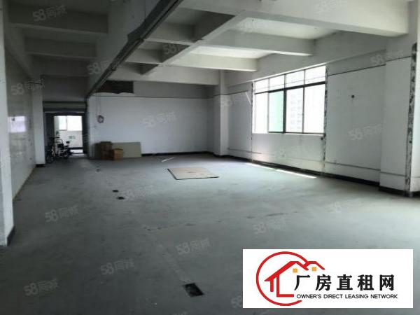  大朗镇水平独栋标准厂房2000平低价出租证件齐全办环评