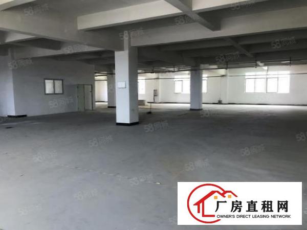  大朗镇水平独栋标准厂房2000平低价出租证件齐全办环评